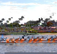 Jacaranda Dragon Boat Races - New Castle Holiday