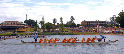 Jacaranda Dragon Boat Races - New Castle Holiday 0