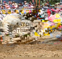 Jindabyne's Man From Snowy River Rodeo - New Castle Holiday