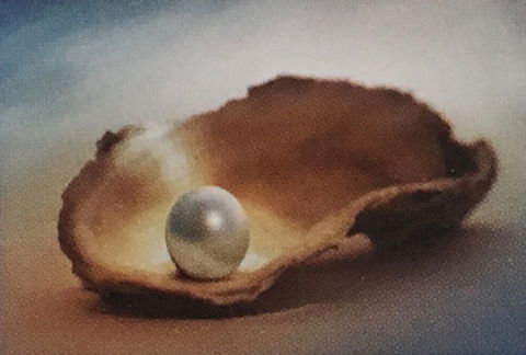Lecture Cancelled:  ADFAS  Lecture (Half-Day) - Patricia Law Speaking On Pearls And Diamonds - New Castle Holiday 0