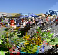 Maclean Community Monthly Markets - New Castle Holiday