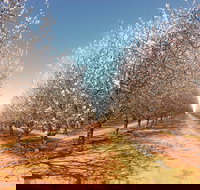 Mallee Almond Blossom Festival - New Castle Holiday