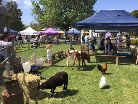 Mathoura Country Kids Festival - New Castle Holiday 2