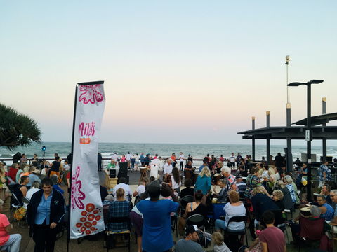 Milbi Festival - New Castle Holiday 1