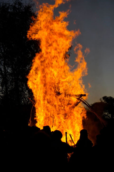 Newbridge Winter Solstice Festival - New Castle Holiday 1