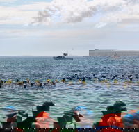Nowra Toyota triHusky Huskisson Triathlon Festival Little Husky - New Castle Holiday
