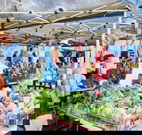 Nundah Farmers Market - New Castle Holiday