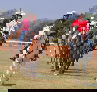 Pride of the West Races 2020 - New Castle Holiday