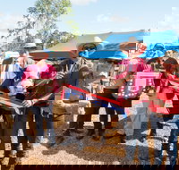 Primex Field Days - New Castle Holiday