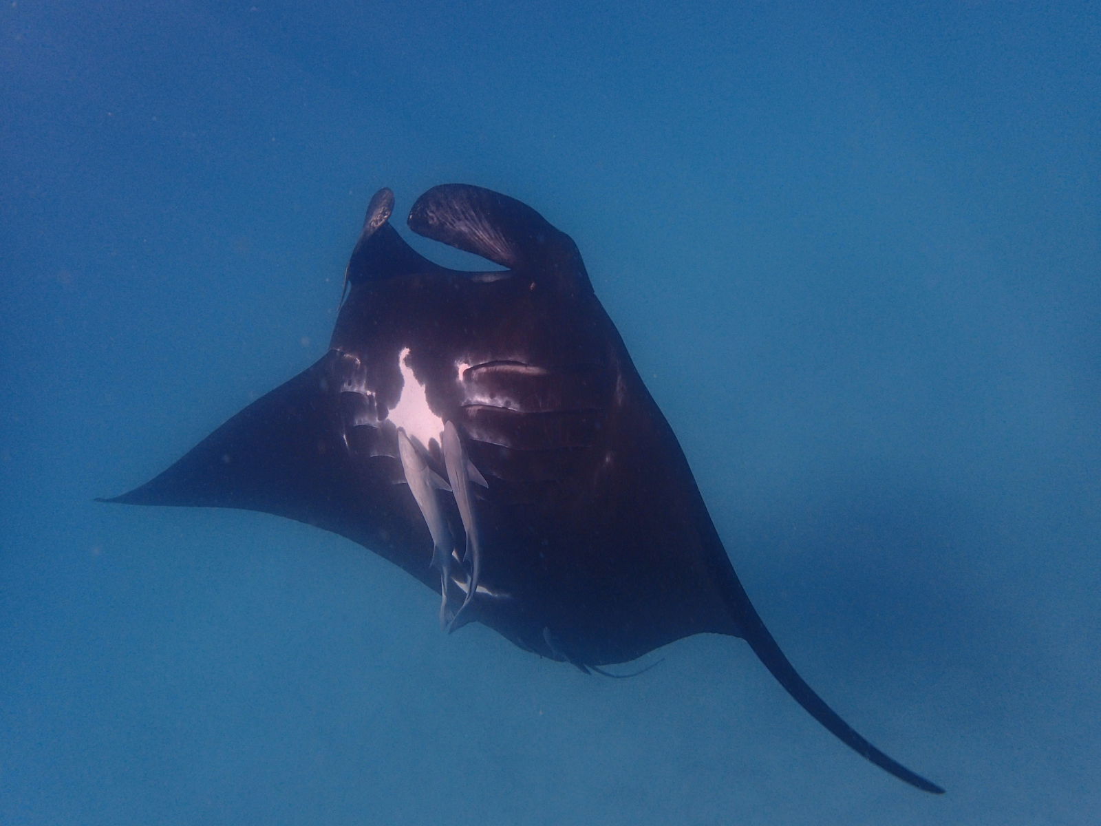 Kennedy Range WA New Castle Holiday