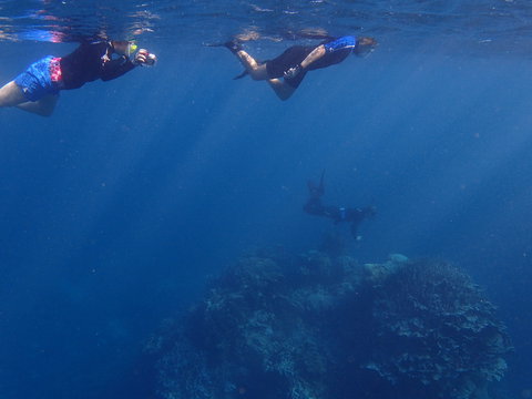 Project Manta Ningaloo Reef, Western Australia - New Castle Holiday 1