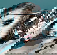 Reuben Kaye Comes Out to Play - New Castle Holiday