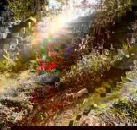 Run Dungog - New Castle Holiday