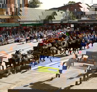 Scone Horse Festival - New Castle Holiday