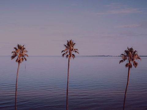 Sunset Streaming Live DJ Streams - New Castle Holiday 0