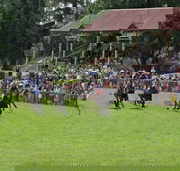 Tumut Derby Day - New Castle Holiday