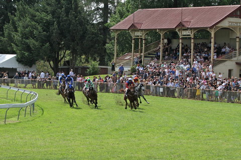 Tumut Derby Day - New Castle Holiday 0