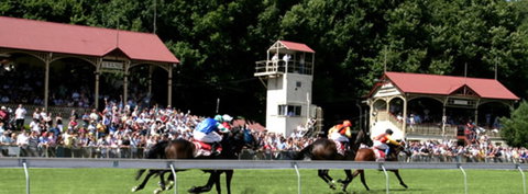 Tumut Derby Day - New Castle Holiday 1