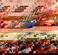 Variety of Stars Gala - New Castle Holiday