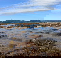 Walk to the Reef - New Castle Holiday