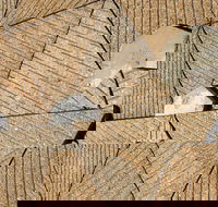 WA Now  Tom Mller Monolith Scores - Virtual Exhibition - New Castle Holiday