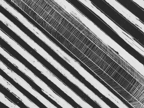 WA Now – Tom Mùller: Monolith Scores - Virtual Exhibition - New Castle Holiday 1