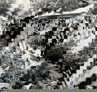 Yamba Farmers and Producers Market - New Castle Holiday