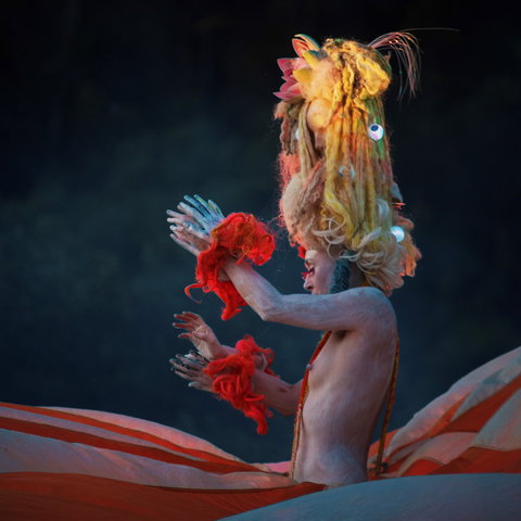 Yonder Festival 2020 - New Castle Holiday 2