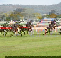Aggies Race Day - New Castle Holiday