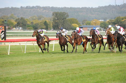 Aggies Race Day - New Castle Holiday 0
