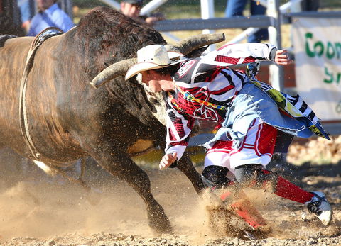 AgriWest Cooma Rodeo - New Castle Holiday 2