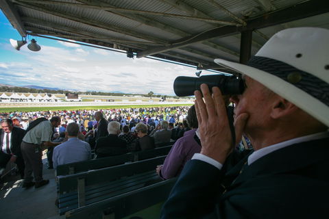 Albury Racing Club Boxing Day Races - New Castle Holiday 1