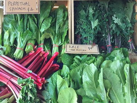 Albury Wodonga Farmers Market - New Castle Holiday 0