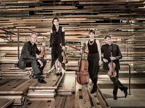 Australian String Quartet Plays Late Beethoven - New Castle Holiday 2