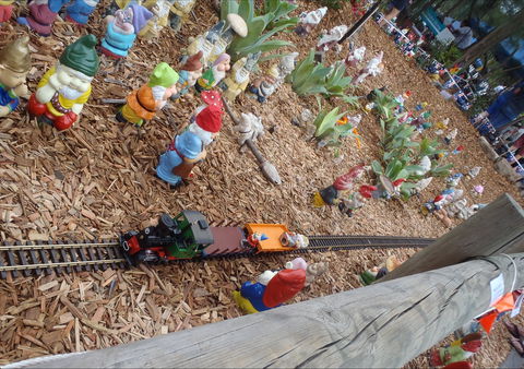 Australia Day With The Australian Gnome Convention Glenbrook - New Castle Holiday 2
