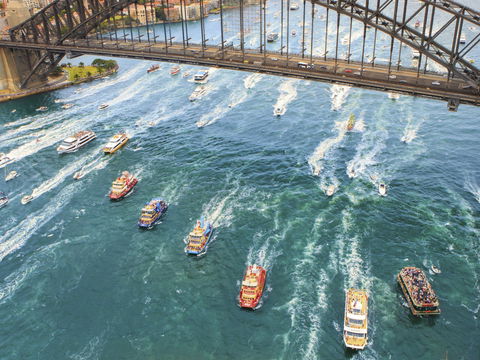 Australia Day Lunch Cruise - New Castle Holiday 1