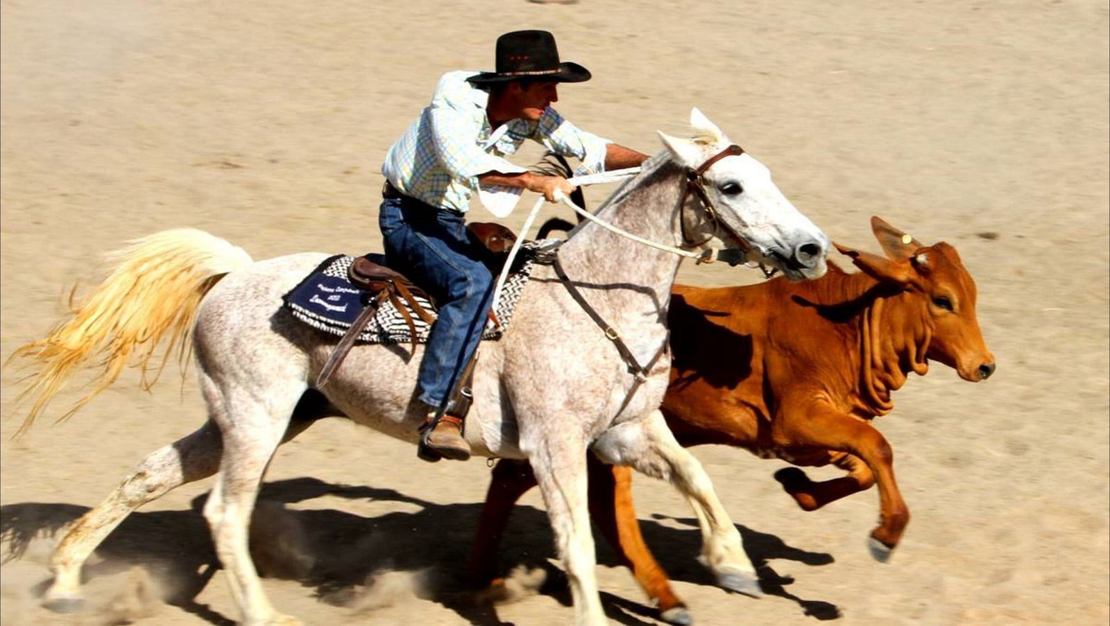 Aramac QLD New Castle Holiday