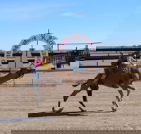 Bedourie Camel and Pig Races and Camp oven Cook-off - New Castle Holiday