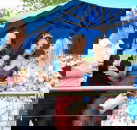 Bet 365 Caulfield Cup Day at Wodonga Race Course - New Castle Holiday