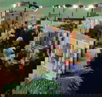 Blackheath Rhododendron Art Show - New Castle Holiday