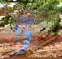 Cellar Dwellers Wine Dinner - New Castle Holiday