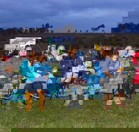 Cinema Under The Stars - New Castle Holiday