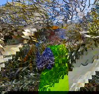 Conservation Volunteers Australia Townsville - Beach Scrub Conservation - New Castle Holiday