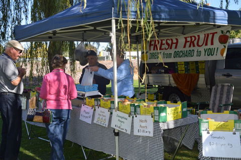 Corowa Rotary Federation Farmers And Variety Market - New Castle Holiday 1