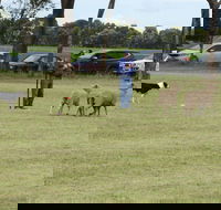 Dean Sheepdog Trials - Old Sniff Classic - New Castle Holiday