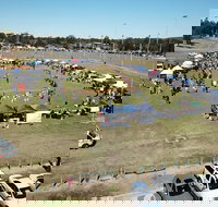 Dogs In the Park Swansea - New Castle Holiday