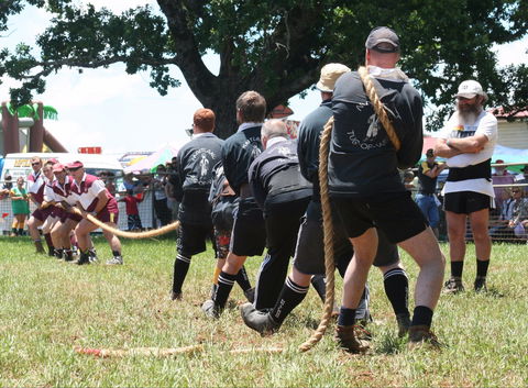 Dorrigo Agricultural Show - New Castle Holiday 1
