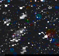 Eclectic by Murray Conservatorium - New Castle Holiday