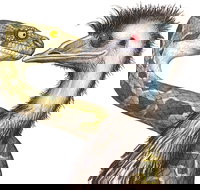 Edward The Emu - New Castle Holiday