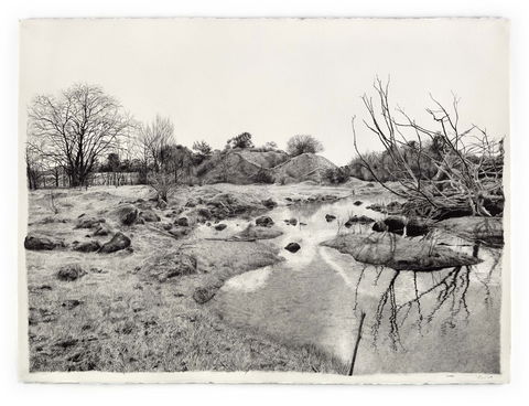 EXHIBITION: LILY MAE MARTIN: OVERBURDEN - New Castle Holiday 3
